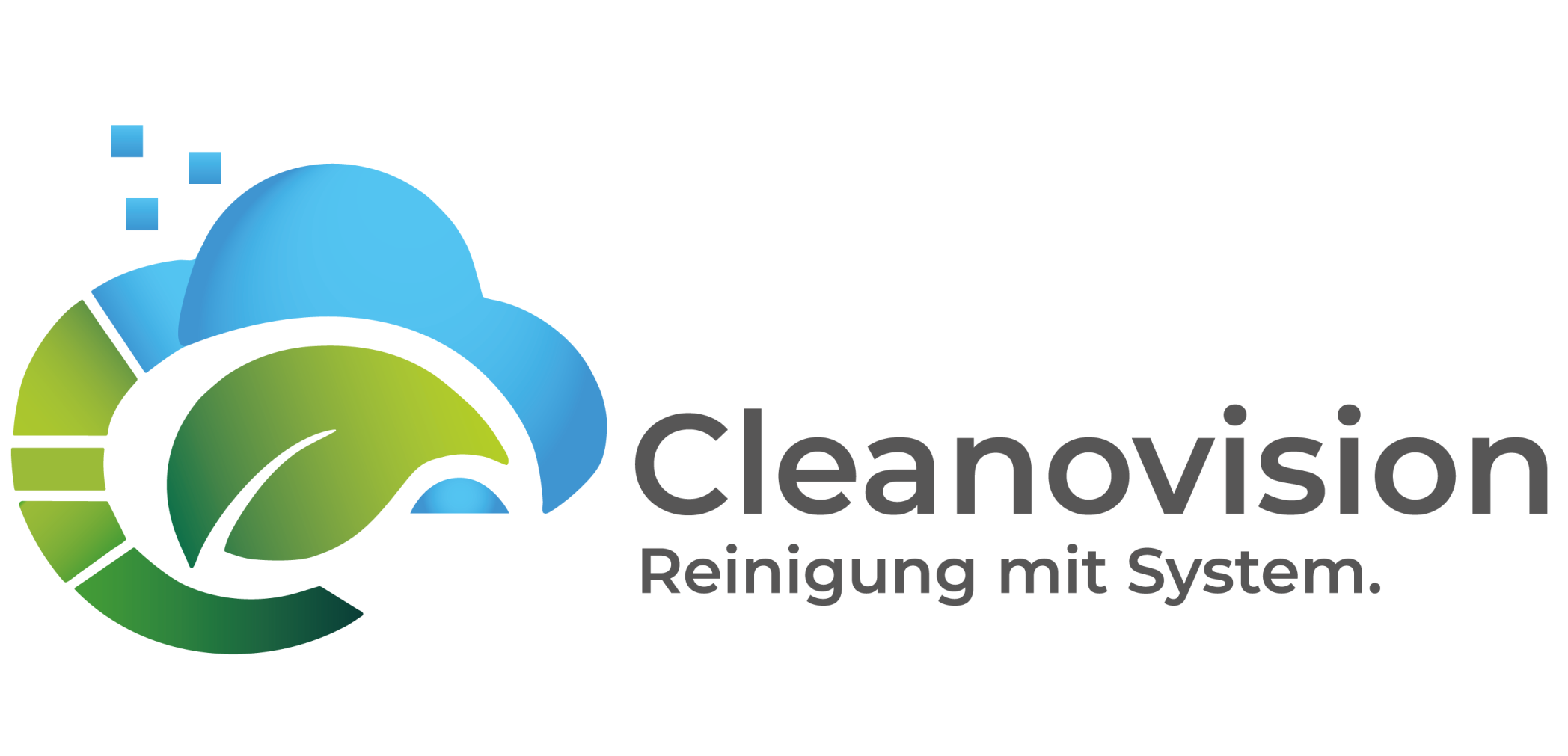Cleanovision GmbH